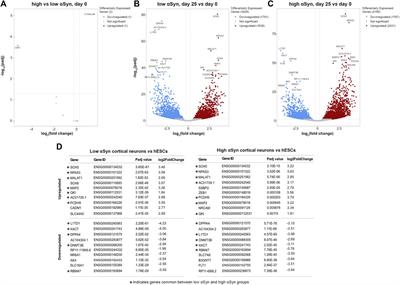 An Isogenic Collection of Pluripotent Stem Cell Lines With Elevated α-Synuclein Expression Validated for Neural Induction and Cortical Neuron Differentiation